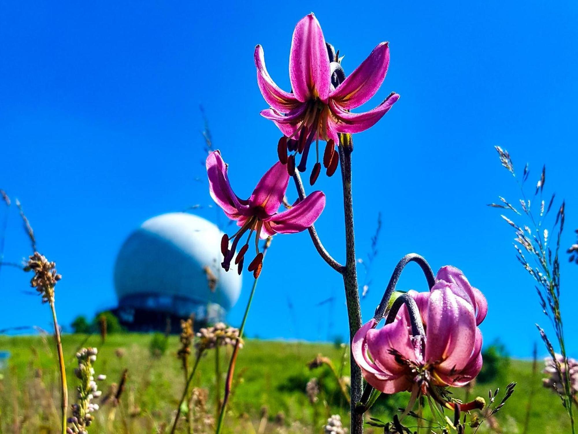 Peterchens Mondfahrt - Wasserkuppe Gersfeld Bagian luar foto